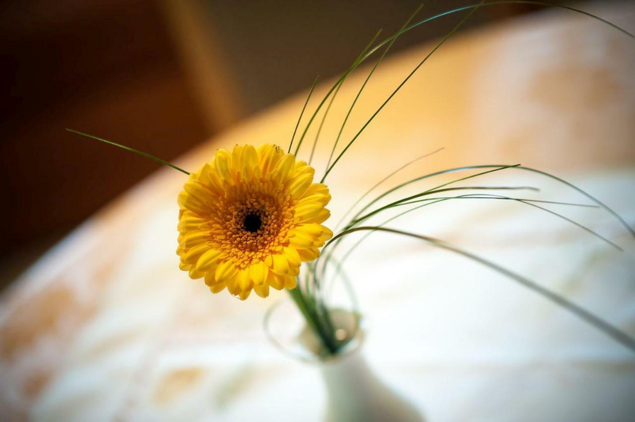 Riehle Hof Apartment เซลอัมฮาร์เมอร์บัค ภายนอก รูปภาพ
